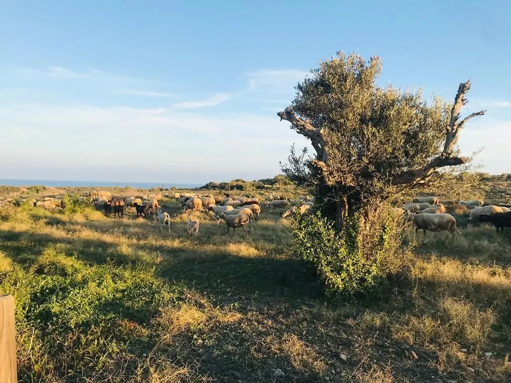 Casa di campagna Bungalows & Estudios Los Escullos Almería