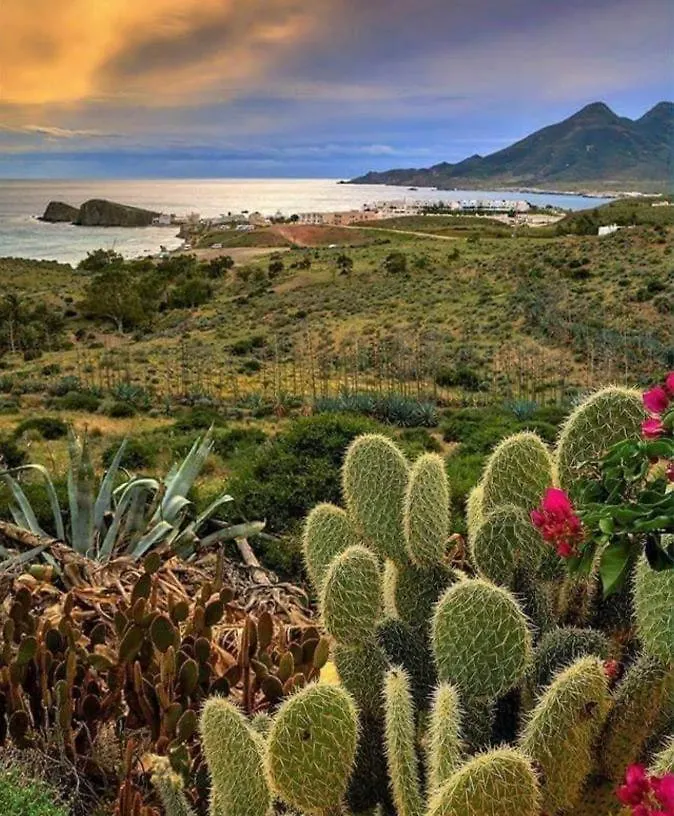 Country house Bungalows & Estudios Los Escullos Almeria